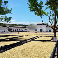 El Salvador: El Borbollon