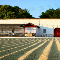 El Salvador: El Borbollon