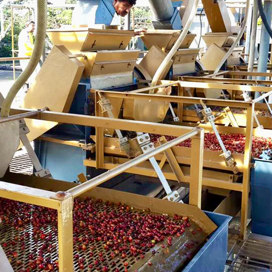 El Salvador: El Borbollon