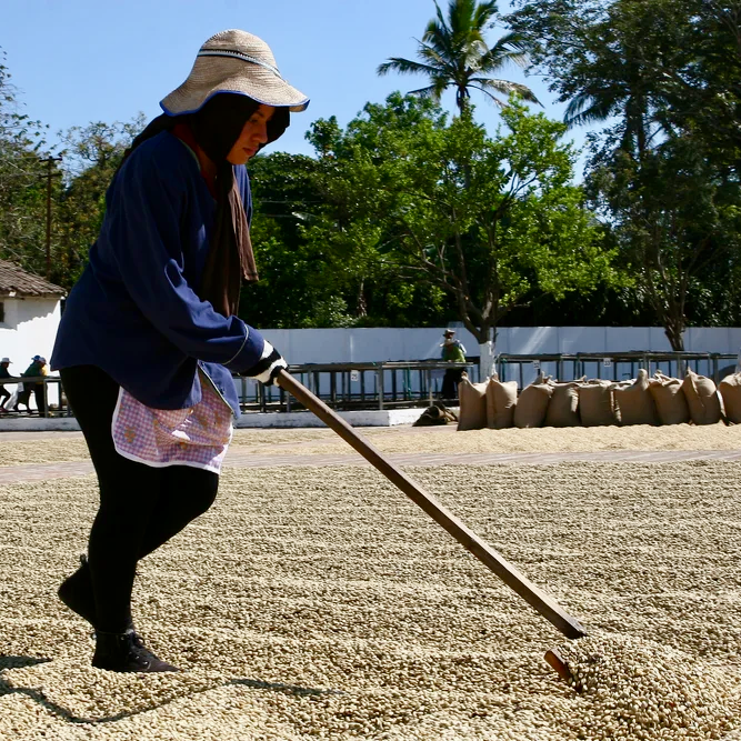 El Salvador: El Borbollon