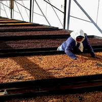 El Salvador: El Borbollon