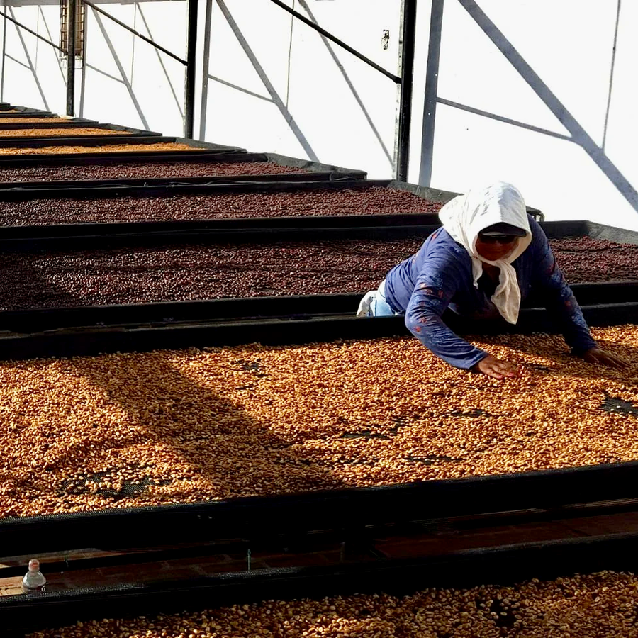 El Salvador: El Borbollon