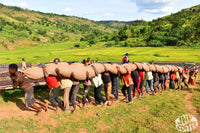 Burundi: Hafi