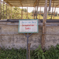 Festive Single Origin