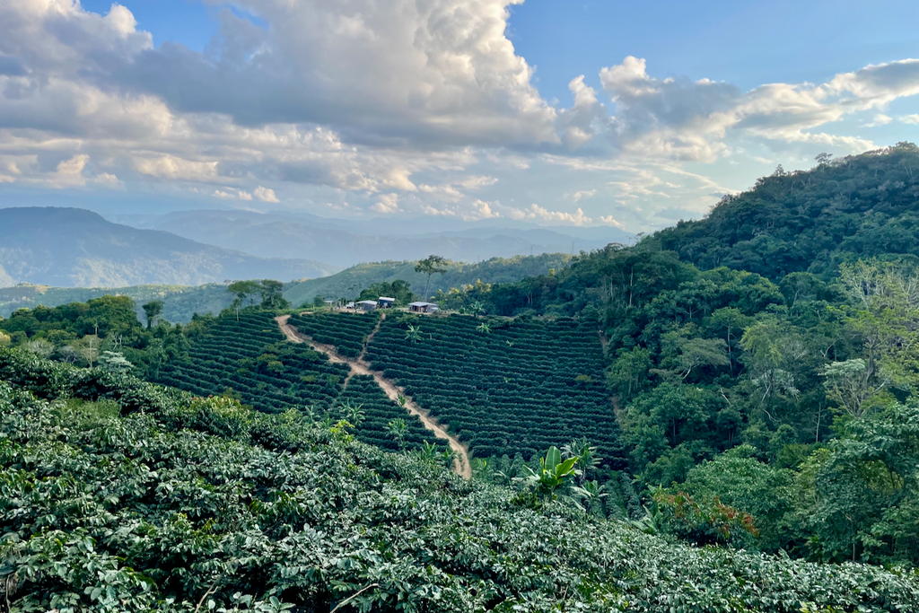 Sol de la Mañana producer Brenda Palli's farm La Hermosa in Villa Rosario