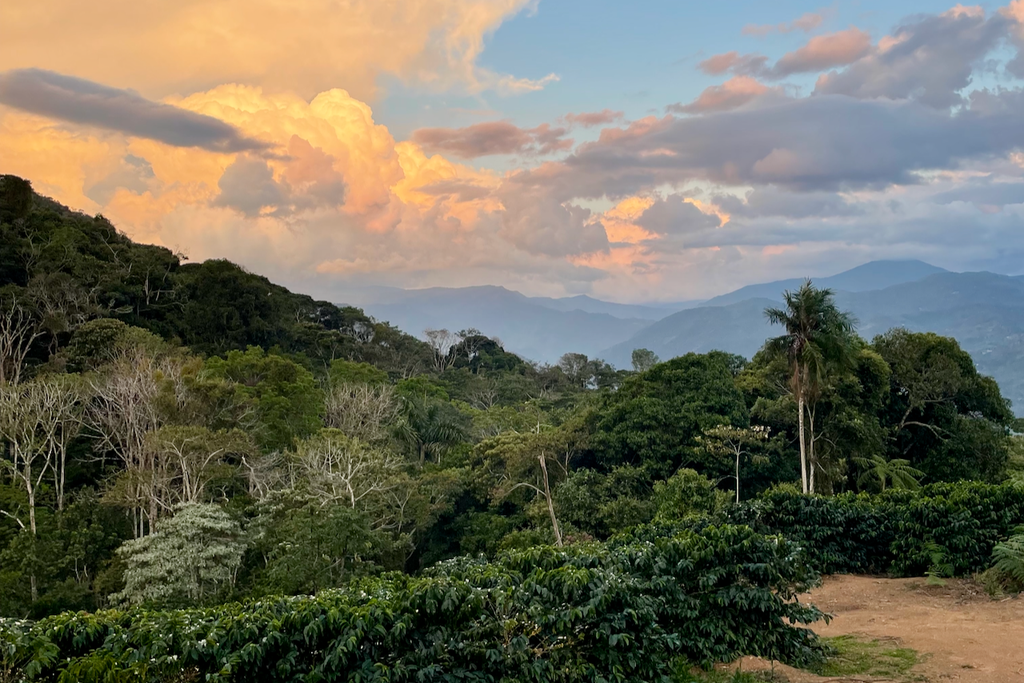 Sol de la Mañana producer Brenda Palli's farm La Hermosa in Villa Rosario