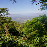 A view of the Apaneca-Ilamtepec mountain range from Finca Argentina in El Salvador.