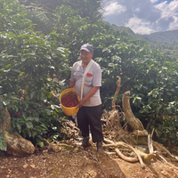Gregorio Paye after picking coffee cherries on his farm Volcan del Tigre in Bolivia