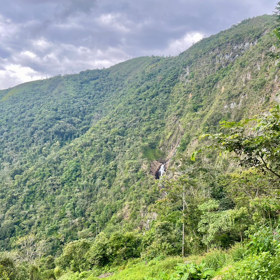 Bolivia: Victor Quiñonez