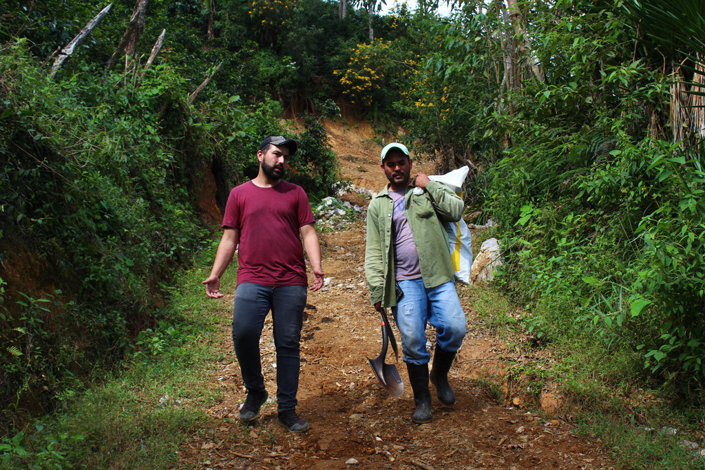 Benjamín Paz Muñoz walks on his farm La Orquidea with a farm worker