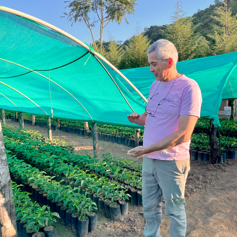 Pedro Rodriguez at the Los Rodriguez coffee variety nursery at Las Alasitas in Yungas, Bolivia