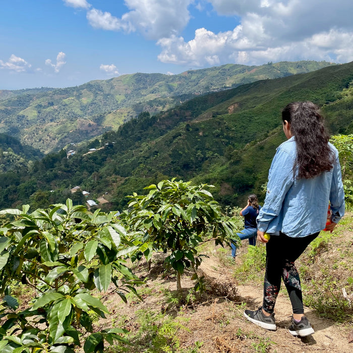 Peru: Lali Guevarra, Rosalita Catuai