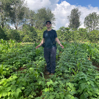Ozone Green Buyer Roland Glew on the Kiriga Estate in Muranga, Kenya