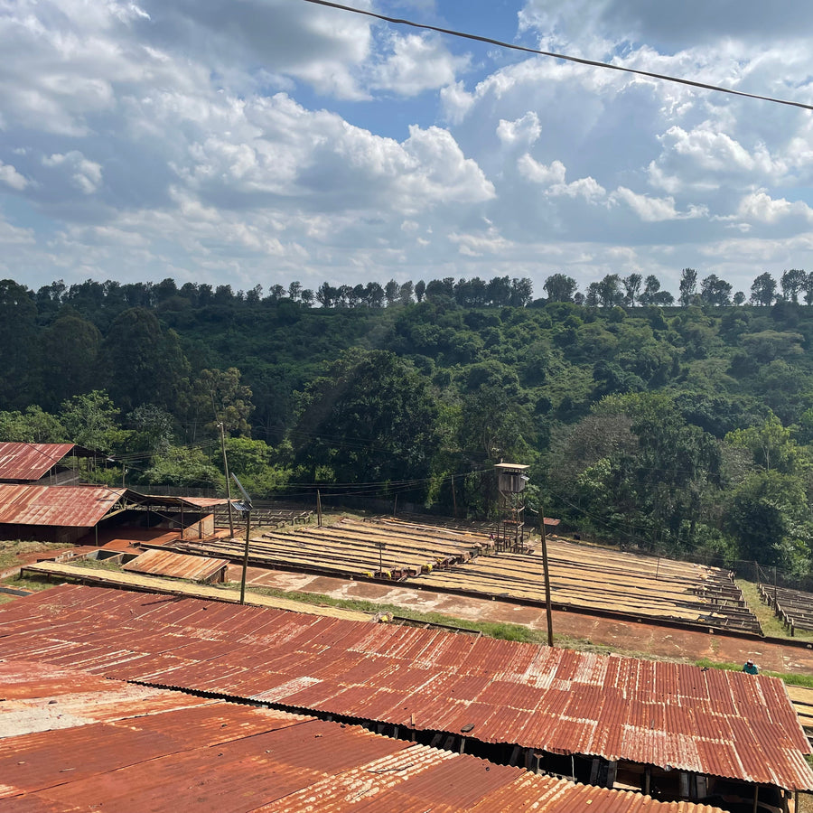 A view over the Kiriga Estate in Muranga, Kenya