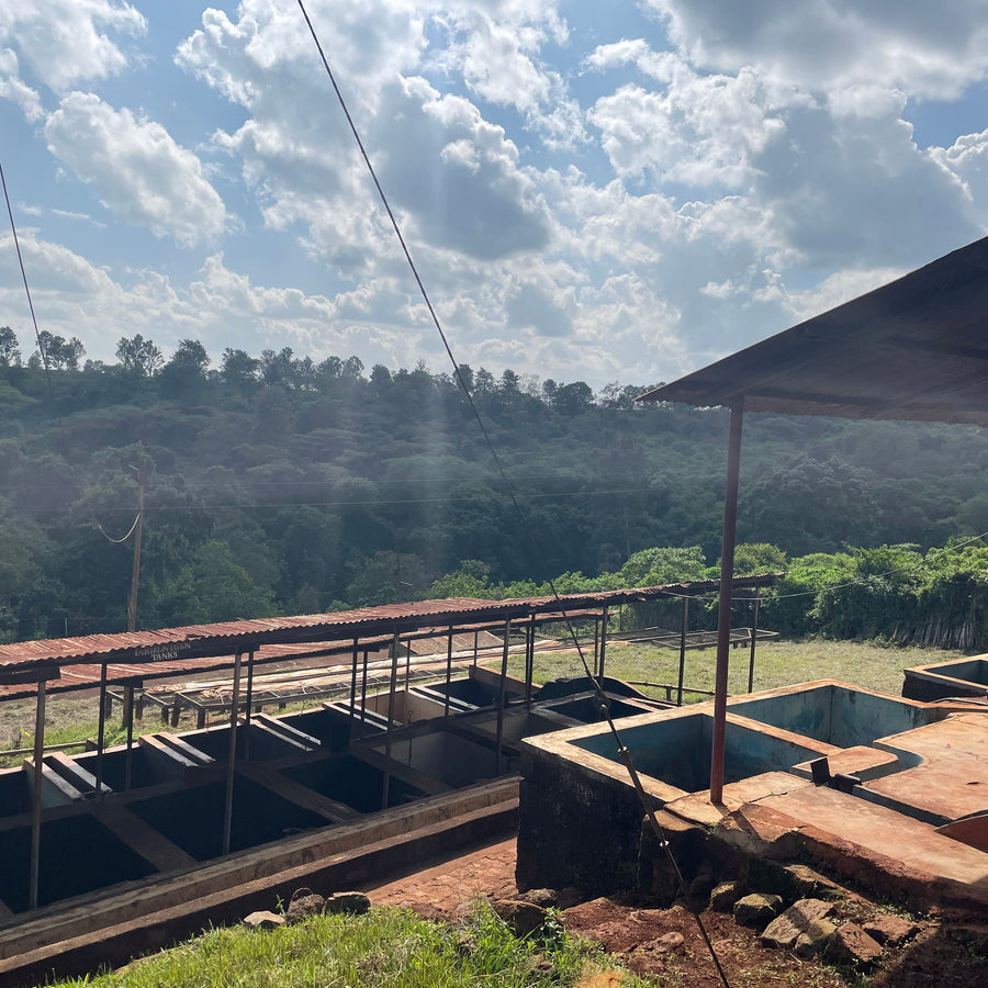 A view of coffee processing areas at the Kiriga Estate in Muranga, Kenya