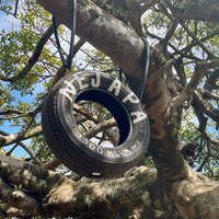 A tyre marking the entrance to Finca Nejapa in Ahuachapán, El Salvador