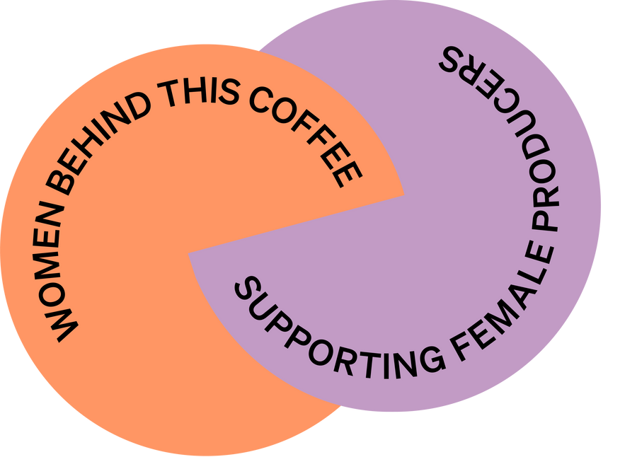 Ozone International Women's Day 2026