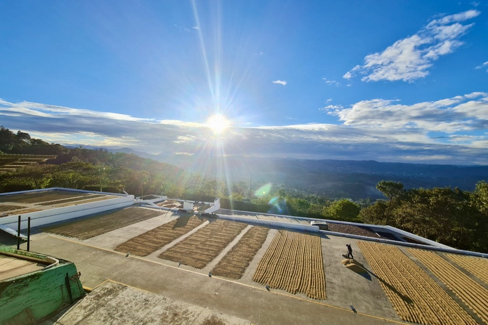 The sun shining over the concrete drying patios of El Limon in Palencia, Guatemala