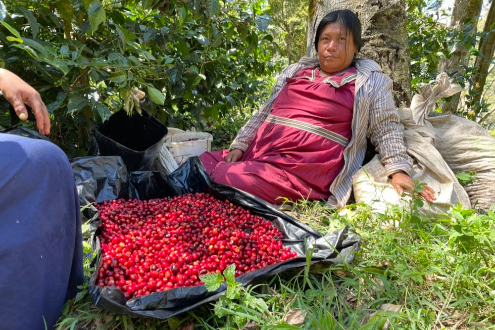 ☆ africancoffee☆ Men's Jordan 7 Retro SE Black Olive Black/Cherrywood Red