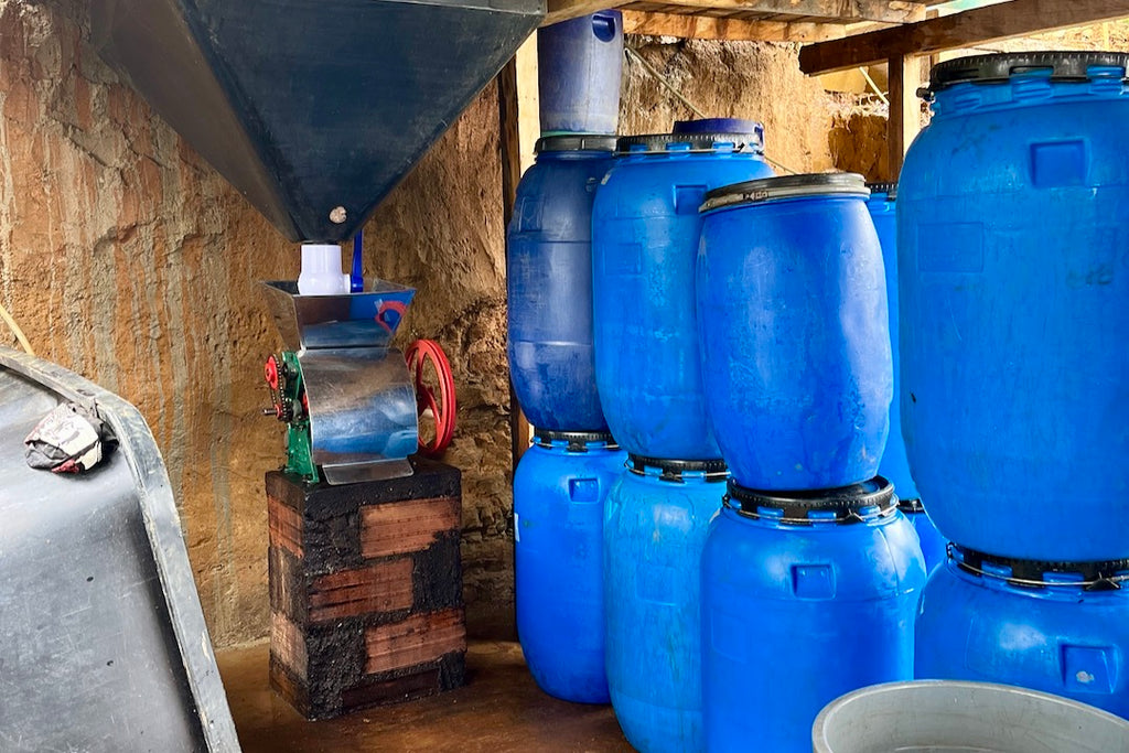 Coffee depulper and fermentation barrels at the Renacer micro-washing station in La Sierra, Medellín, Colombia