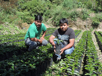 Bolivia: Jeivert & Grover