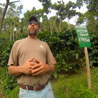 Cousin Ricardo of the Mierisch family with his original first plot of Ethiosar (then called Ricardo, after himself!) at his farm at 800 m.a.s.l. in Nicaragua