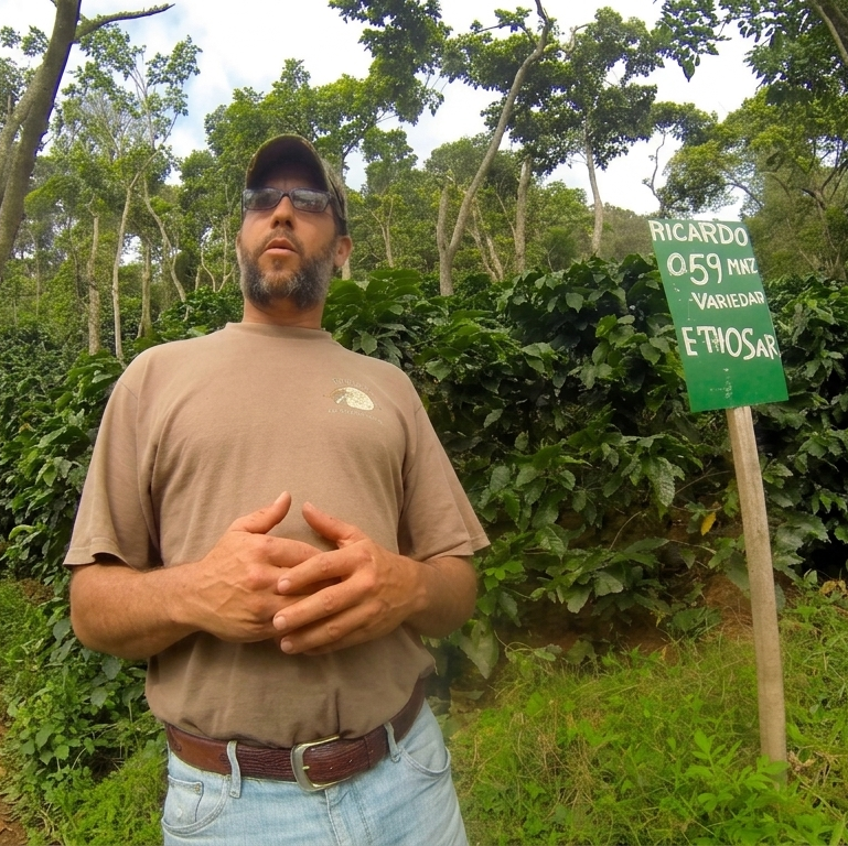 Cousin Ricardo of the Mierisch family with his original first plot of Ethiosar (then called Ricardo, after himself!) at his farm at 800 m.a.s.l. in Nicaragua