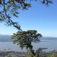 A view over Matagalpa from the top of Finca Limoncillo