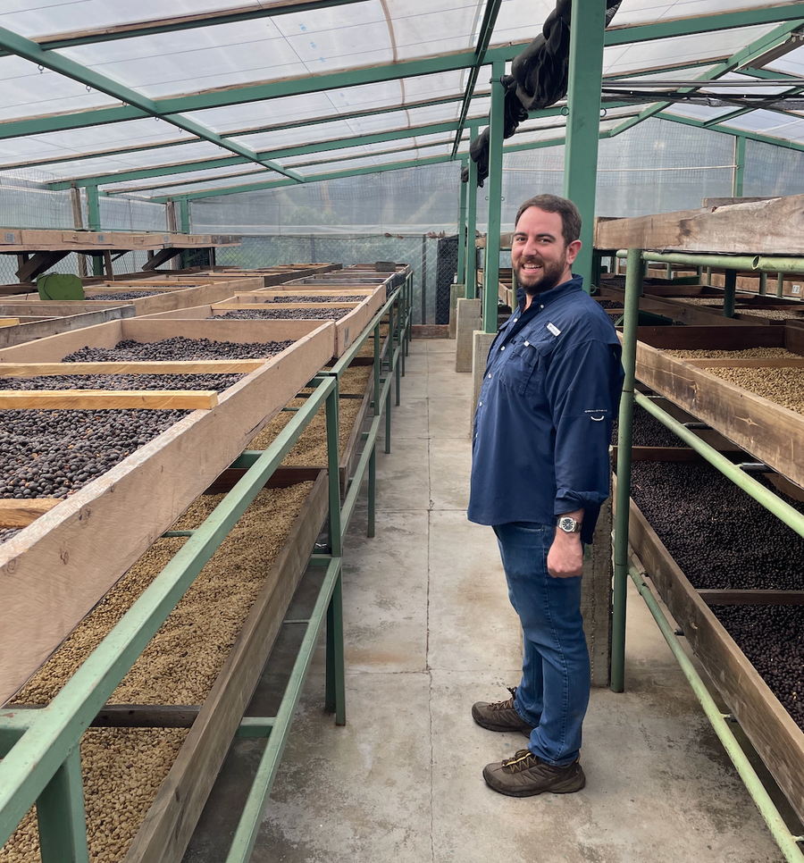 Rafeal Silva Jr amongst the raised drying beds at Beneficio San Pedro in El Salvador