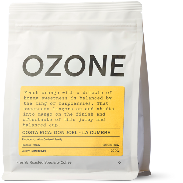 Costa Rica: Don Joel - Finca La Cumbre, Maragogype