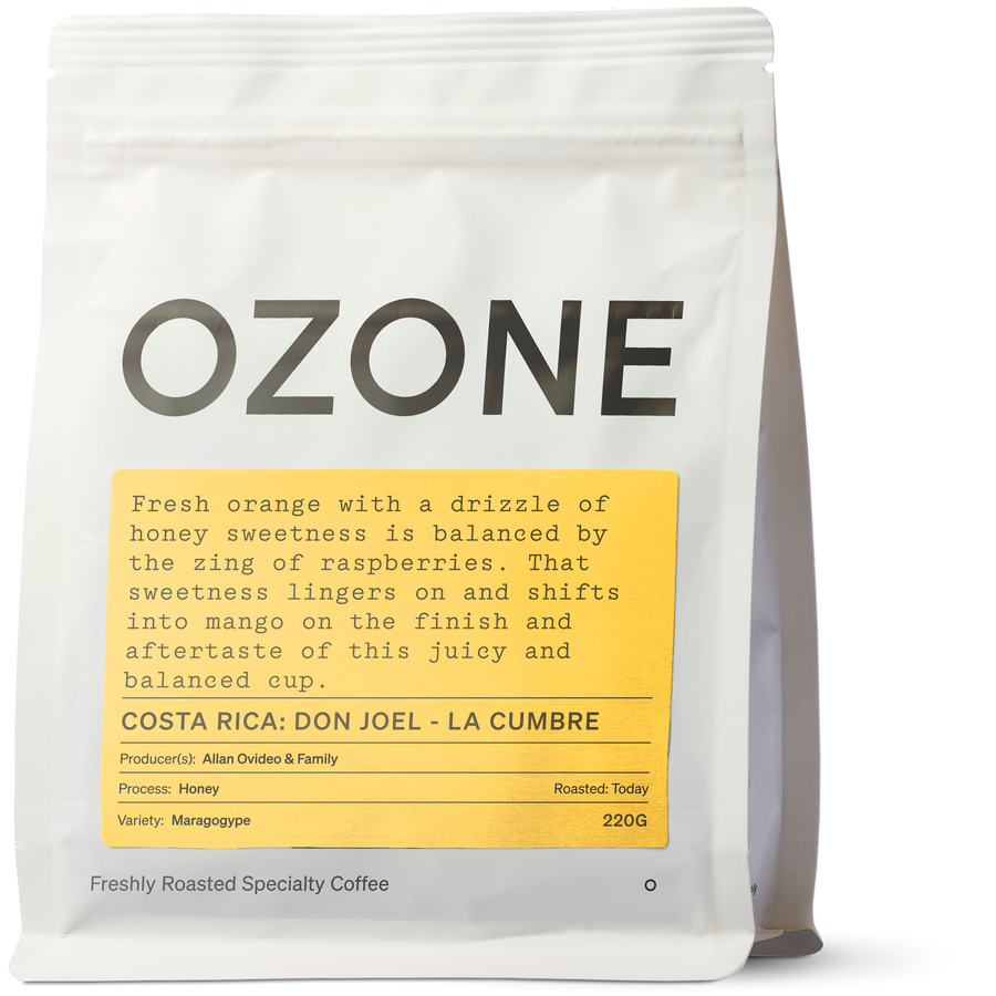 Costa Rica: Don Joel - Finca La Cumbre, Maragogype