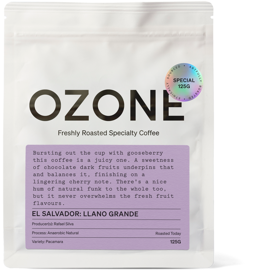 El Salvador: Llano Grande, Anaerobic Natural, Pacamara [125g]