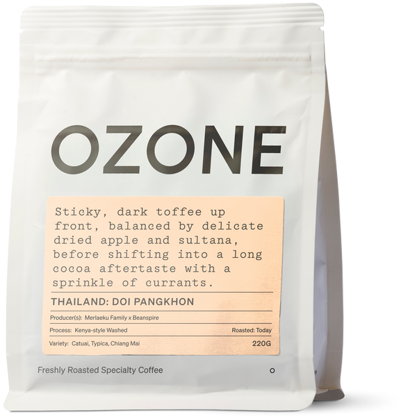 Thailand: Doi Pangkhon, Kenya-style Washed