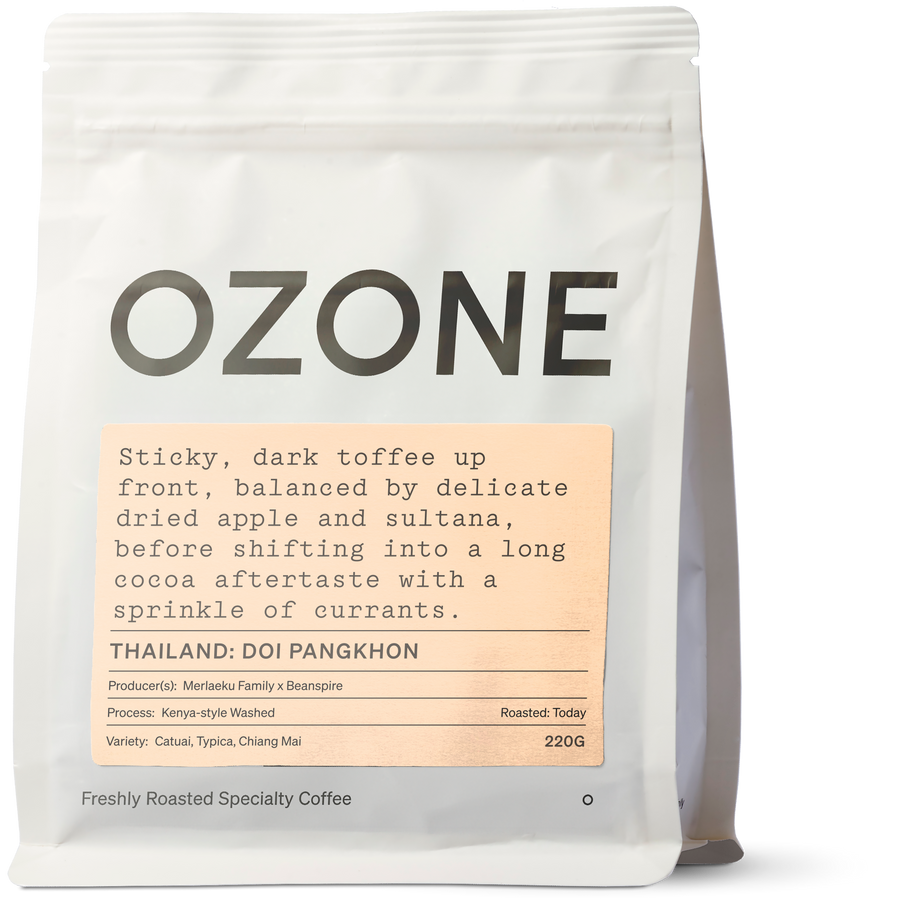 Thailand: Doi Pangkhon, Kenya-style Washed