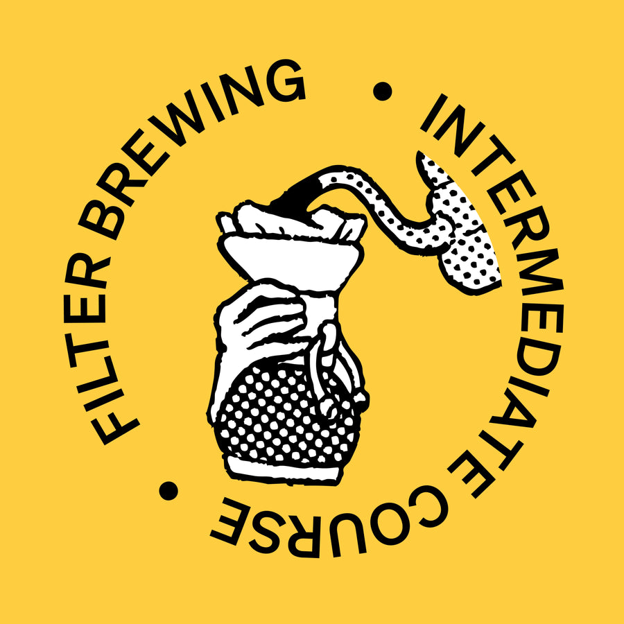 SCA Brewing Intermediate