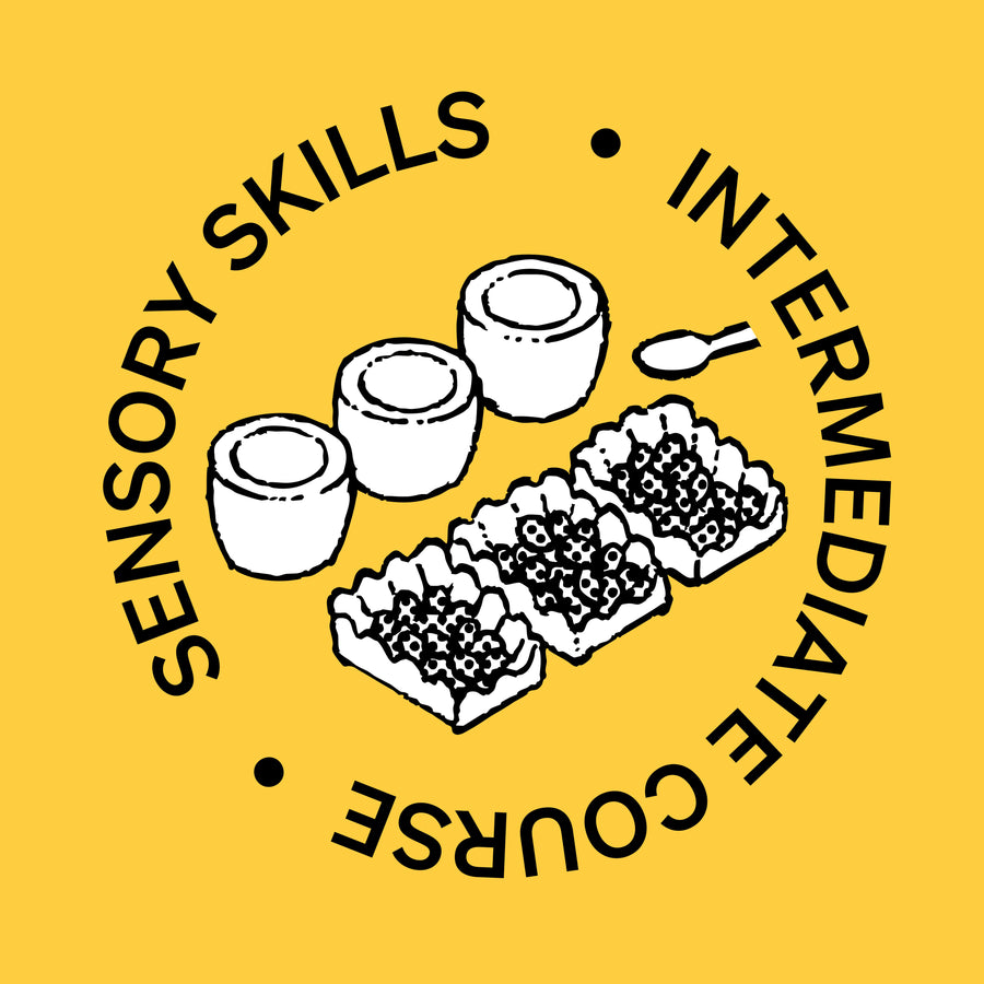 SCA Sensory Skills Intermediate