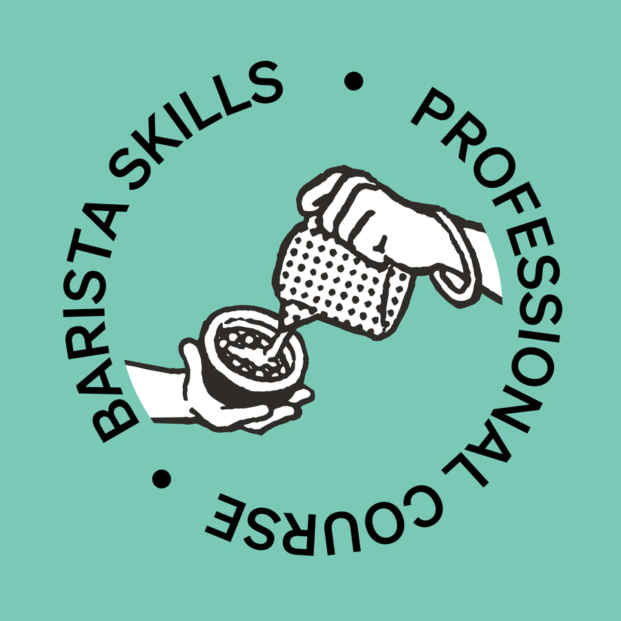 SCA Barista Skills Professional