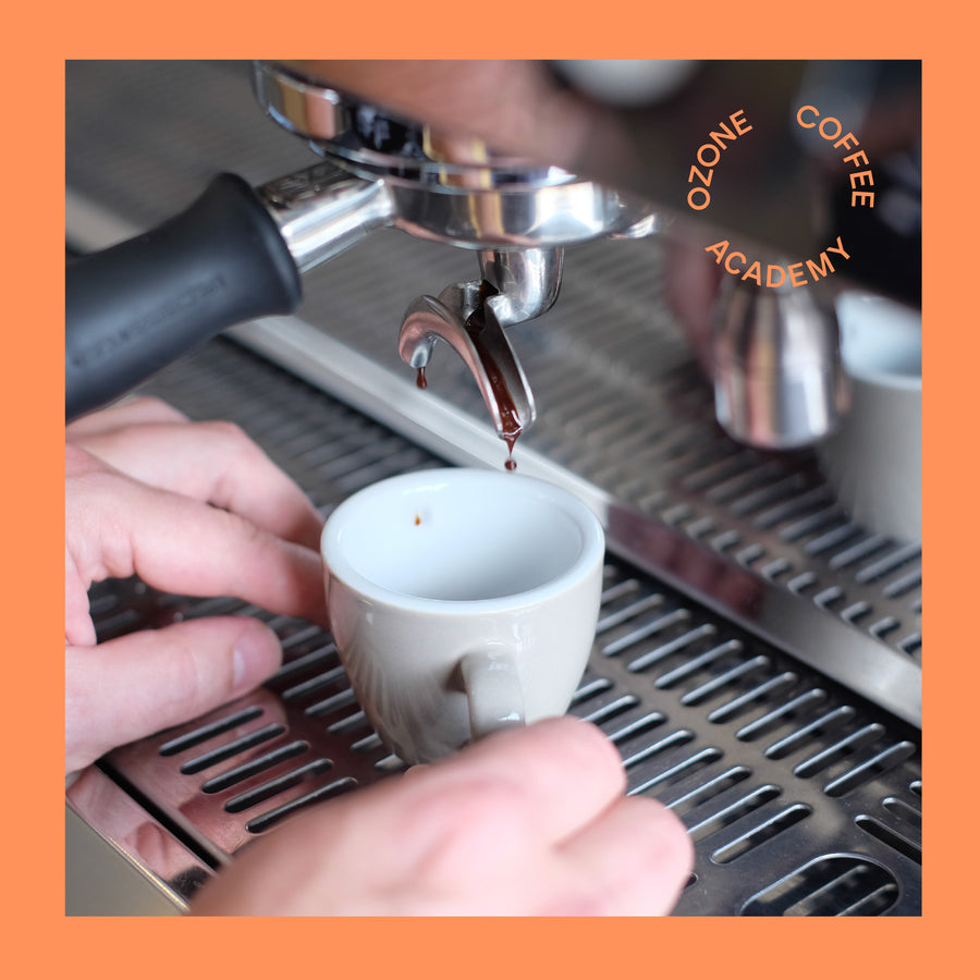 SCA Barista Skills Professional