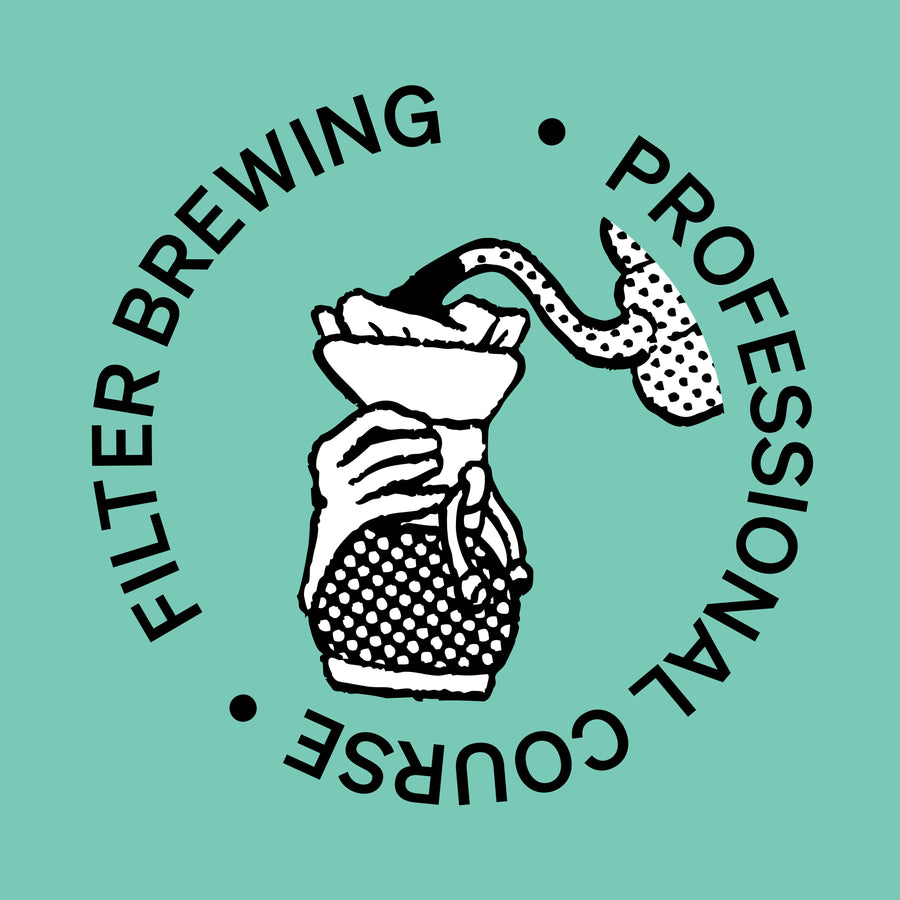 SCA Brewing Professional