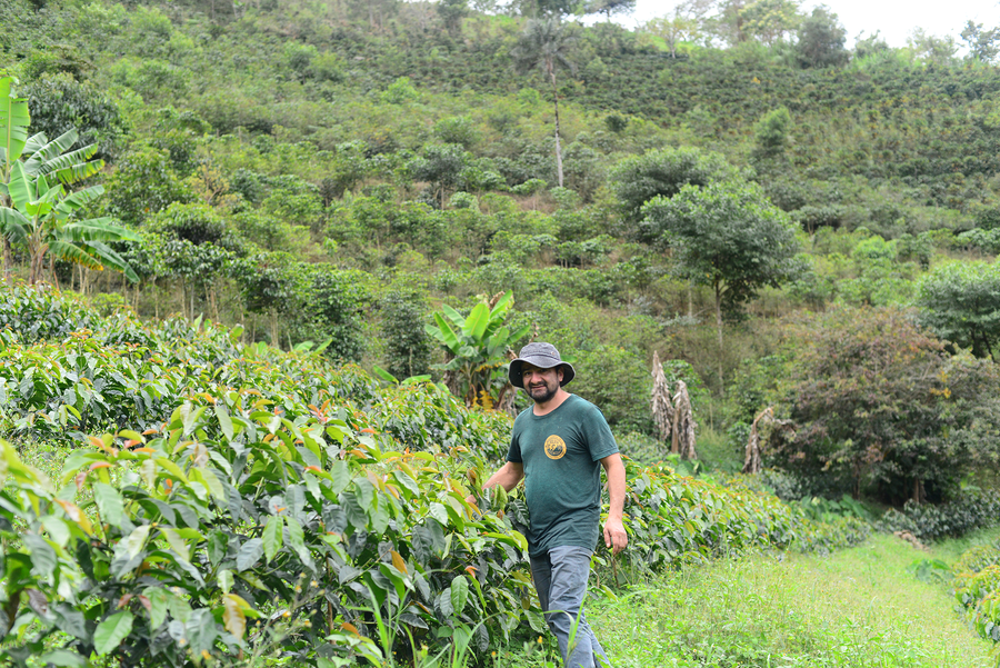 Peru: La Palestina, SL9 'Inca Gesha' (Organic)