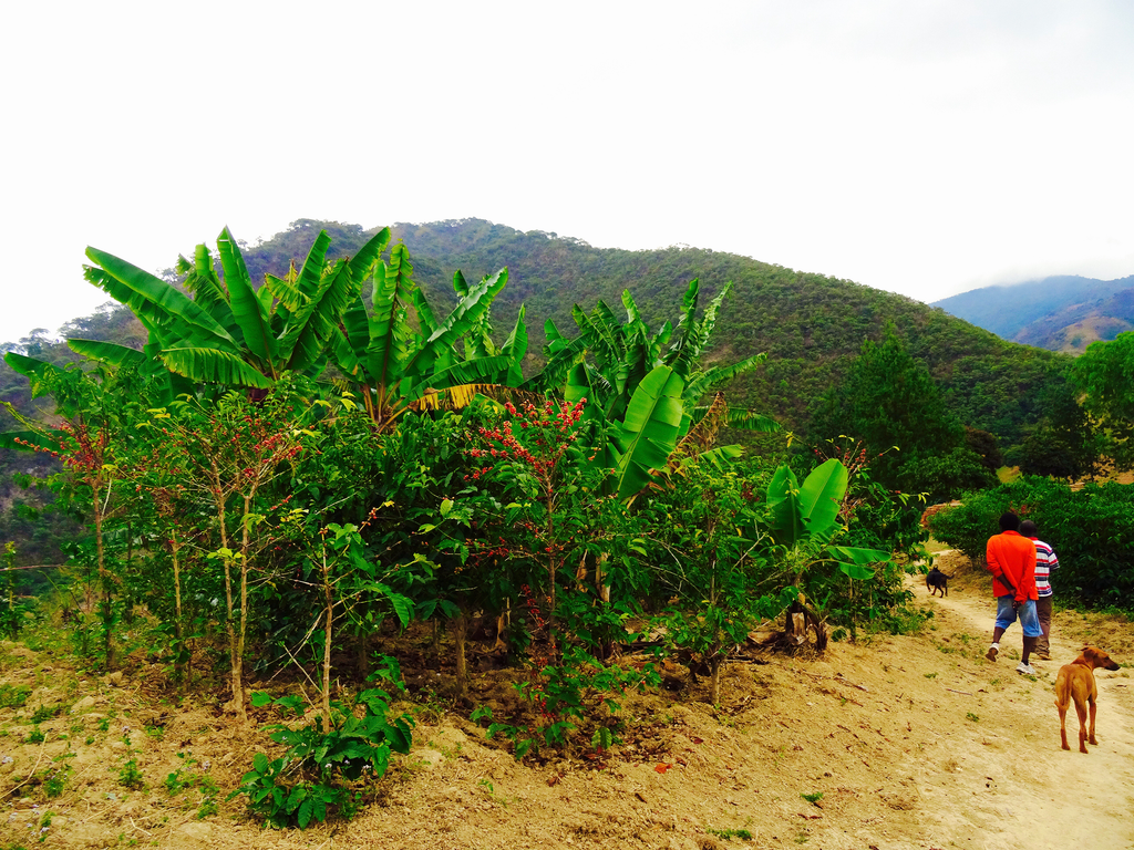 The Phoka Hills, Malawi