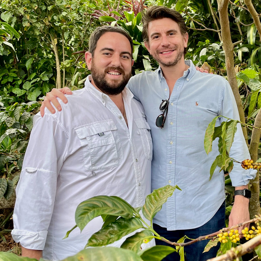 Rafael Silva Jr and Rodrigo Silva amongst coffee growing in El Salvador