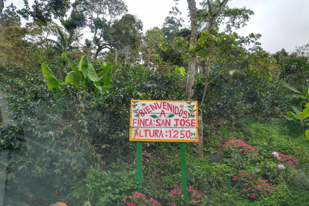 Finca San José, Jinotega, Nigaragua