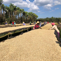 Festive Single Origin