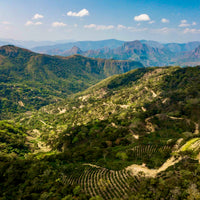 Bolivia: Trapiche, Coco Natural