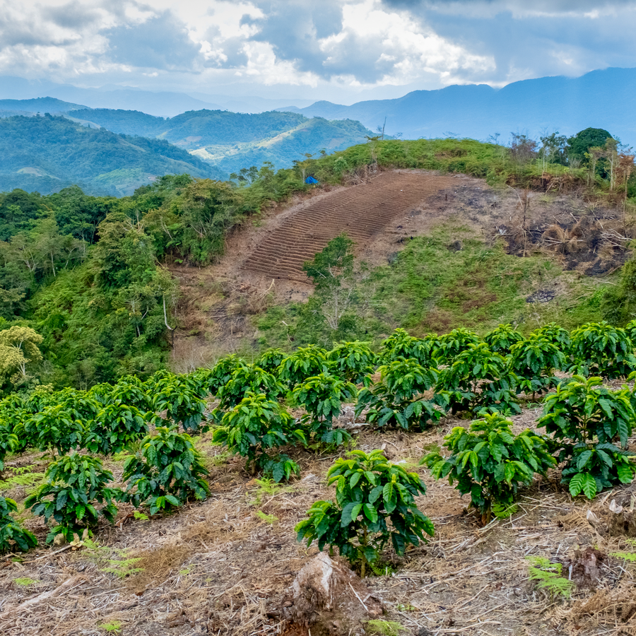 Bolivia: Victor Quiñonez