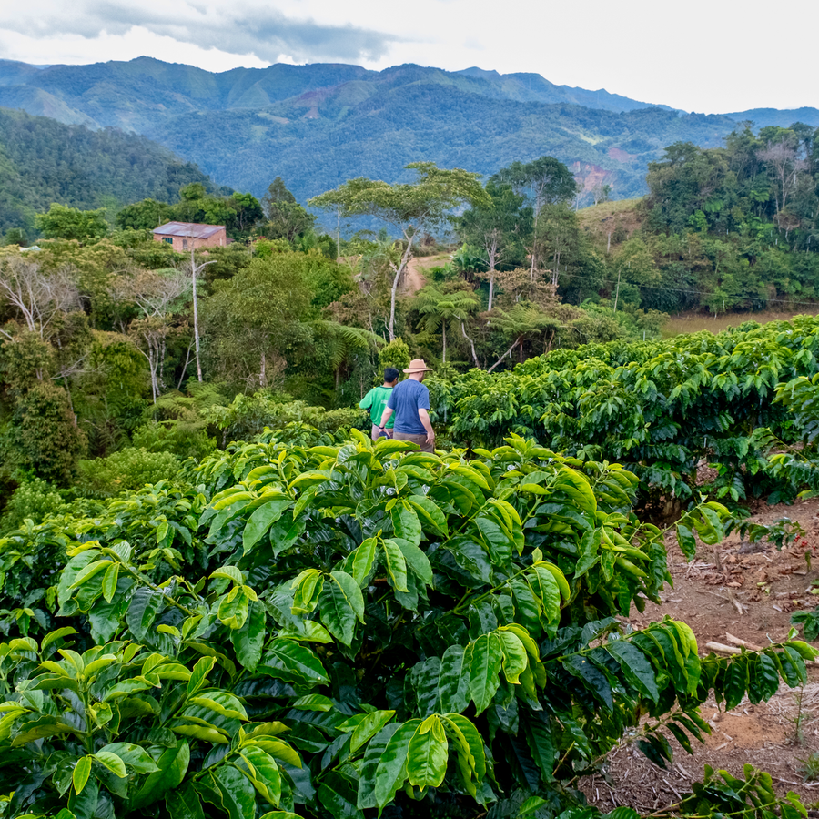 Bolivia: Victor Quiñonez