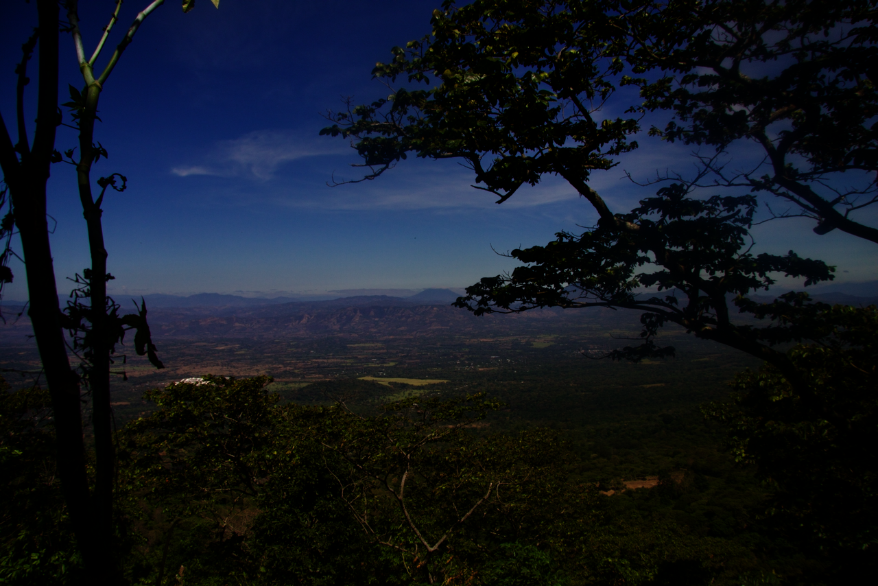Scenic view from a high vantage point on Finca Argengina in El Salvador with trees and the Apaneca-Ilamtepec mountains in the distance.