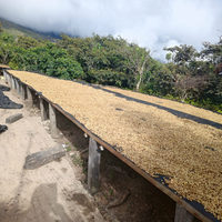 Bolivia: Grover Machaca