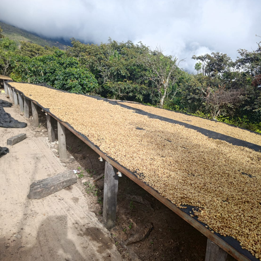 Bolivia: Grover Machaca